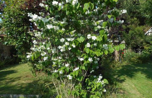 Le Gite de Lili - Foto 33