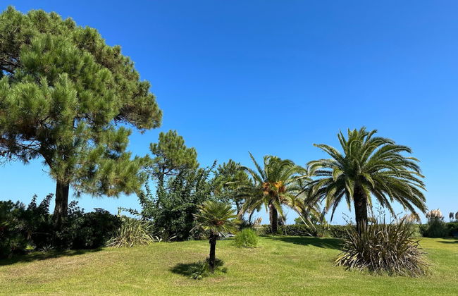 Les Chênes - Foto 18