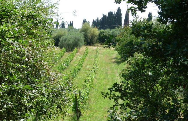 Lavish Villa in Peccioli - Foto 29