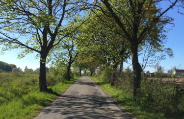 La Petite France - Foto 50