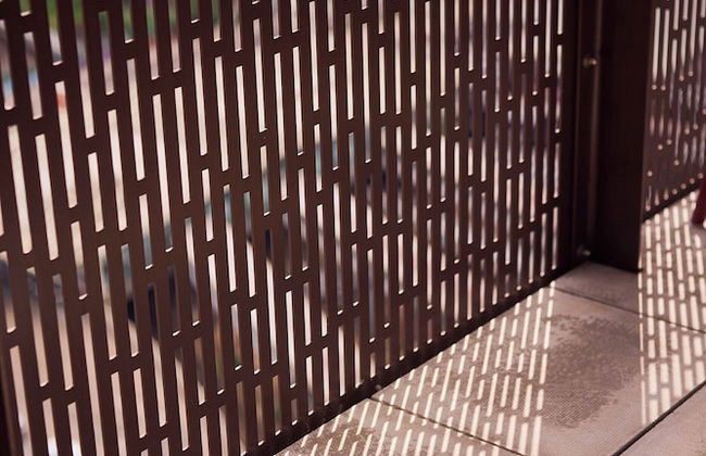 The Blossoms - Foto 57