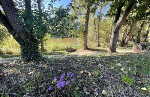 Gîte Historique à Tours avec Jardin et WIFI Inclus - FR-1-381-635 - Foto 20