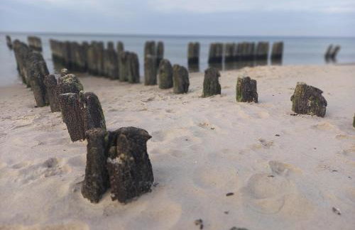 Apartament PLUS 22 C - Foto 37