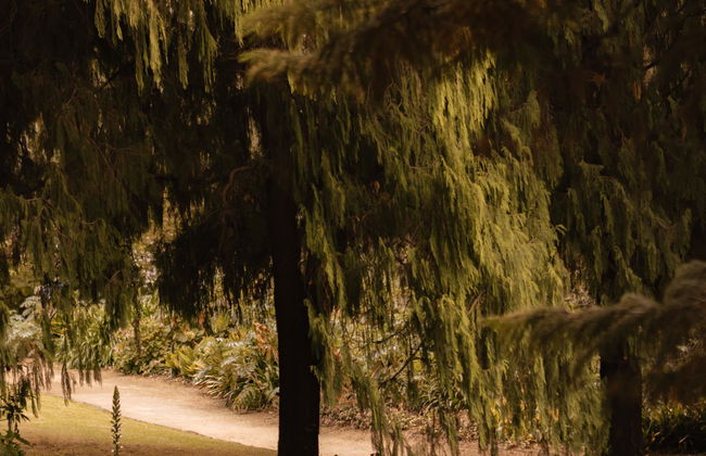 Apartments of South Yarra - Foto 16