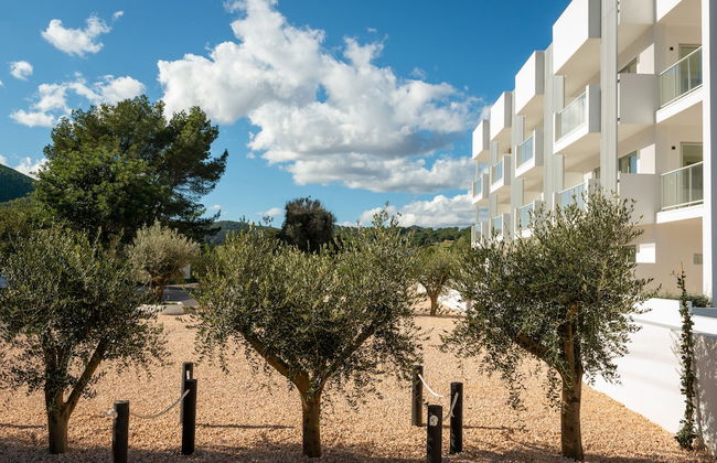 The Olive Boutique Suites and Spa - Foto 52