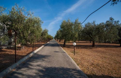 Villa Lucia - Foto 73