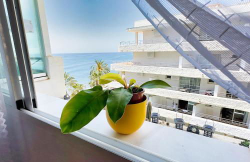 Skol 438 Super One-bedroom Apartment with Sea Views - Photo 7