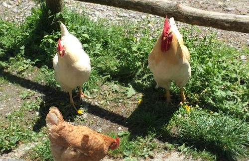 Lake View Apartments - Foto 45