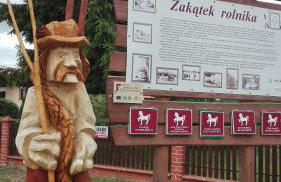 Agroturystyka RANCZO na Mazurach - Foto 29