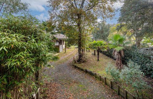 Les chats perchés 400m plage G - Foto 25