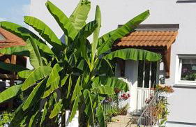 Ferienwohnung Am Eck - Photo 17