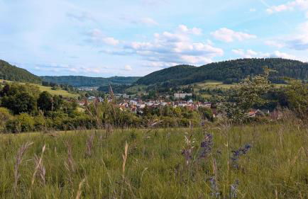 Ferienwohnung Eppler - Foto 6