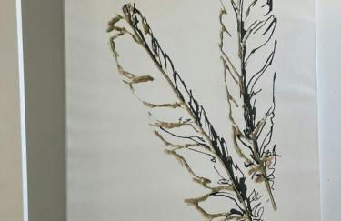 Tailgate Penthouse 2 Blocks from UT Stadium - Foto 35