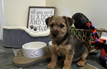 Large Group Friendly 2 Game Rooms Indoor Sauna Hot Tub Near Jack Frost Ski Resort - Foto 75