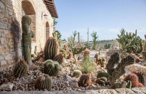 Relais Garden Cactus B&B - Foto 21