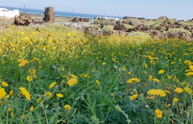 Luz del Mar - Foto 19