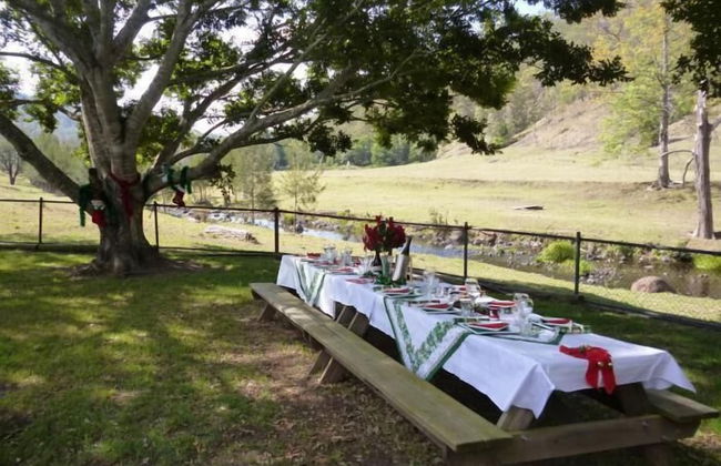 Christmas Creek Cafe & Cabins - Foto 37