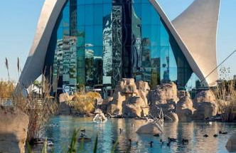 Loft independiente de Lujo. - Photo 4