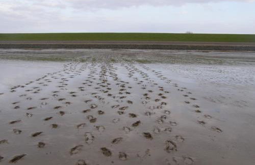 Ferienwohnung Haus Antje - Foto 18