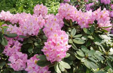 Domizil-Auszeit am Schlart (82qm) - Foto 20