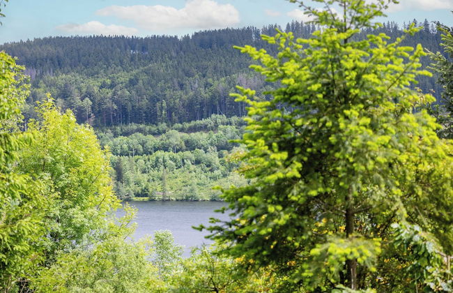 Titisee Haus an der Sonne by Kuckucksnester - Foto 69