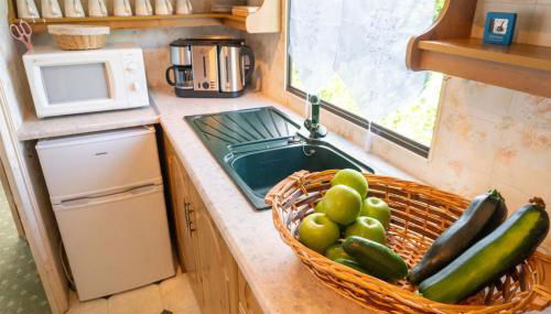 Basislager für Harz und Städtetour Leipzig, Magdeburg, Dessau, Halle, Quedlinburg uvm - Foto 4, toaster