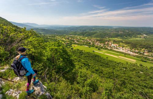 Boutique house Istria with pool and fireplace - Foto 50