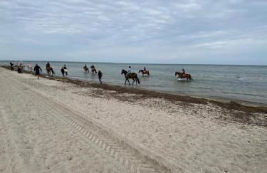 Inselliebe - Photo 28