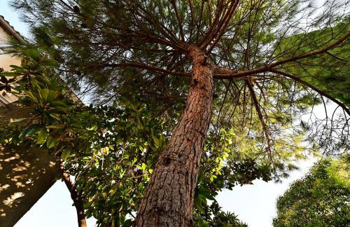 Bohemian Rhapsody - Foto 29