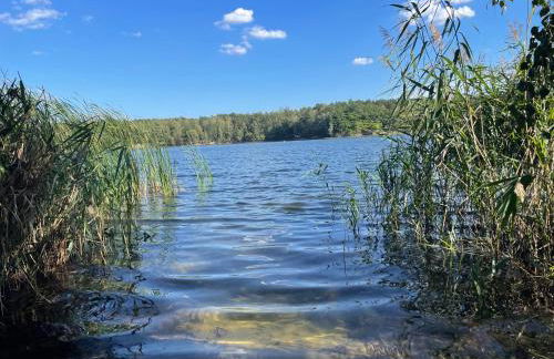 Niemtscher Lodge am See - Foto 12