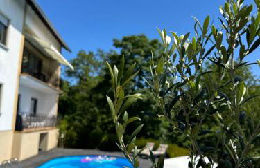 Ferienwohnung Panorama Oberkirn - Foto 1