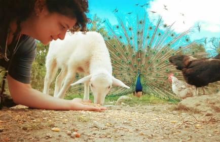 Agriturismo Podere Asche - Photo 28