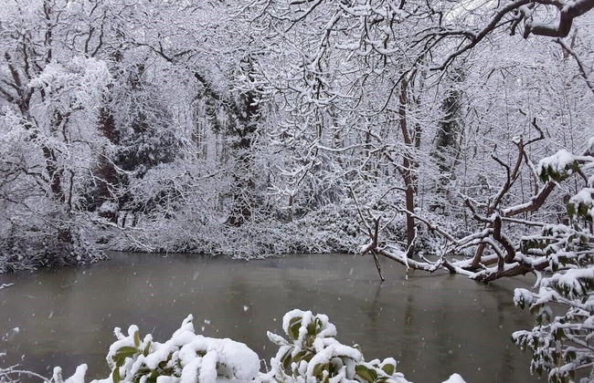 Whitmoor Farm - Foto 64