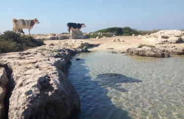 Villa Itaca - Foto 9