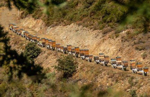 Apimonte City House A - Foto 49