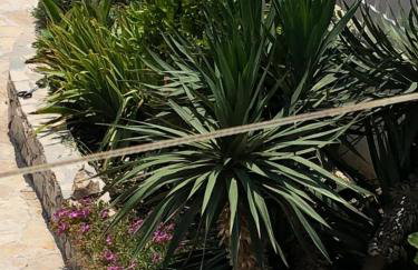 Apartments Zvijezda - Foto 40