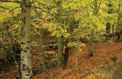 Casa rural El Abejaruco - Foto 53