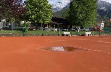 Alpen View - Photo 11