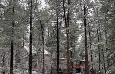 Forest Home Retreat 11 Ridgeview Retreat - Photo 8