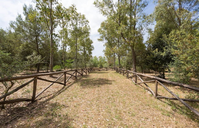 Villa Pizzi - Foto 32