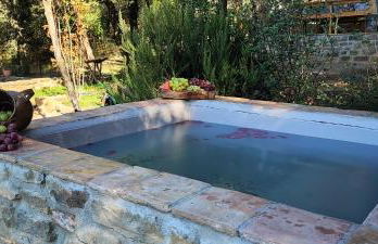 El Racó dels Mussols 2 - Foto 68