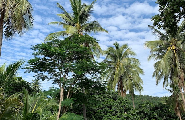 155 SalaCoco - Foto 76