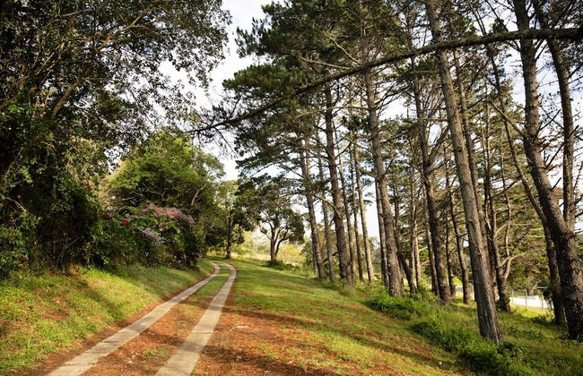 Spaciousviewsbalcony2-bedroomsen-suitenetflix - Foto 23