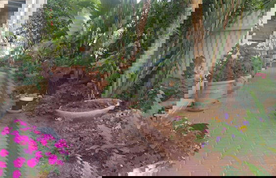 Sabba's Apartment - Photo 10