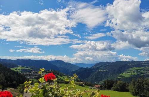 Gfliererhof - Foto 53