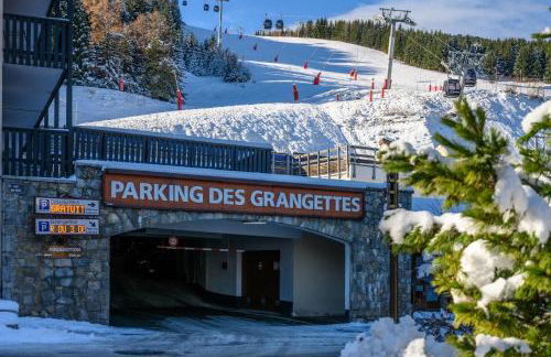 ski au pied, 3ch 2Sdb Garage Terrasse - Foto 64