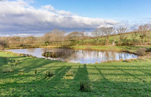 1 Bed in Launceston oc-81332 - Foto 17