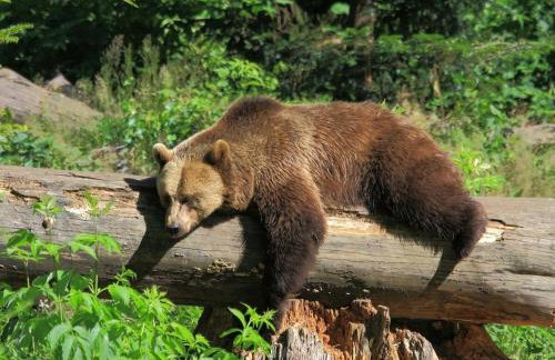 Holiday home Corinna - Foto 28