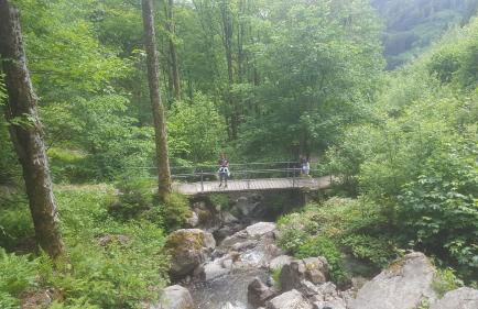 Appartement Rehblick - Foto 57