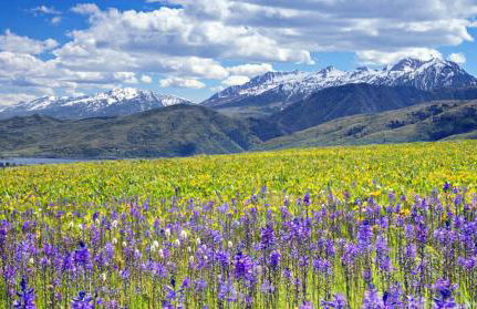 Cowboy Ski Condo Near Powder Mountain Eden Utah All Season Retreat Golf and Ski Resort - Foto 36